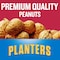 Planters Planters Cocktail Peanuts 16 oz. Can, PK12 10029000072104 - alternate 5